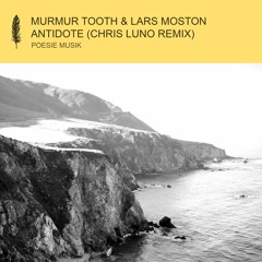 Murmur Tooth, Lars Moston - Antidote (Chris Luno Remix) (snippet)