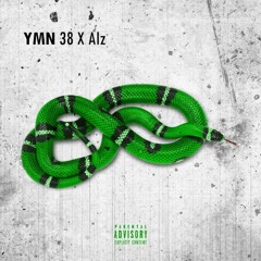 38 x Alz(YMN) - Snakes