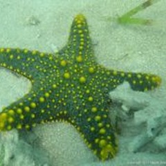 My life's in a storage unit 2016