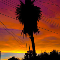 The Man Who Lived On The Moon