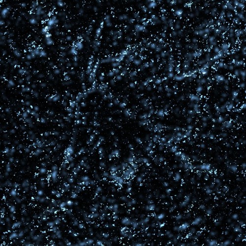 Lieblings Album Techno ist Liebe Album 2025