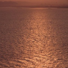 proc-018::The Sea of Next Year