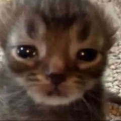 Songs to get me through highschool