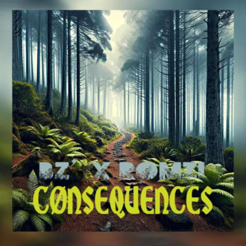 Bz x Romzi - Conséquences