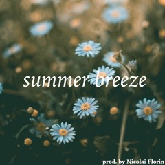 summer breeze [Beat Instrumental]