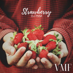 [No Copyright Music] DJ PKM - Strawberry [VMF Release]
