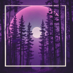 Euphoria in the Night