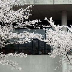 Whispersinyahead - Case Closed (prod. ZVNGETSUXXX)