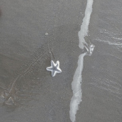 헨-일종의고백