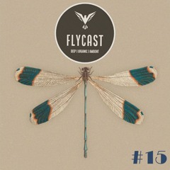 Flycast #15