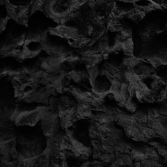 P̷R̷E̷M̷I̷E̷R̷E̷ 🦛✨ ARK  - NoBolha [Matraca / Love in the endz]