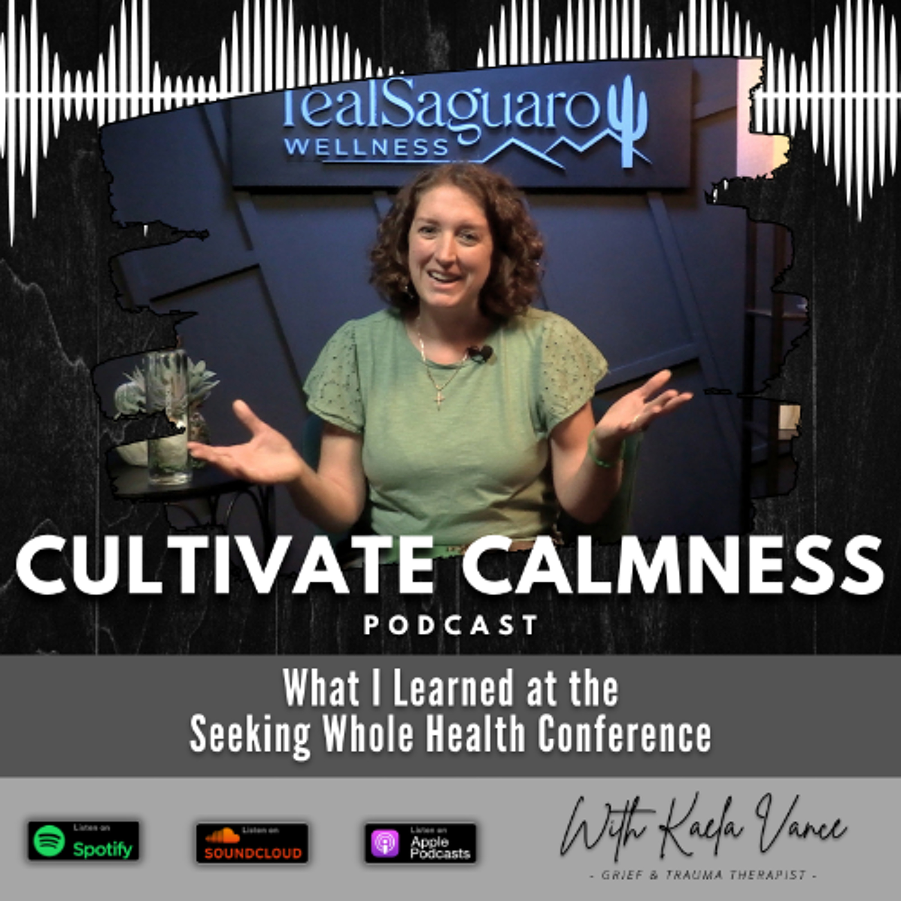 Episode #131 - What I Learned at the Seeking Whole Health Conference episode artwork
