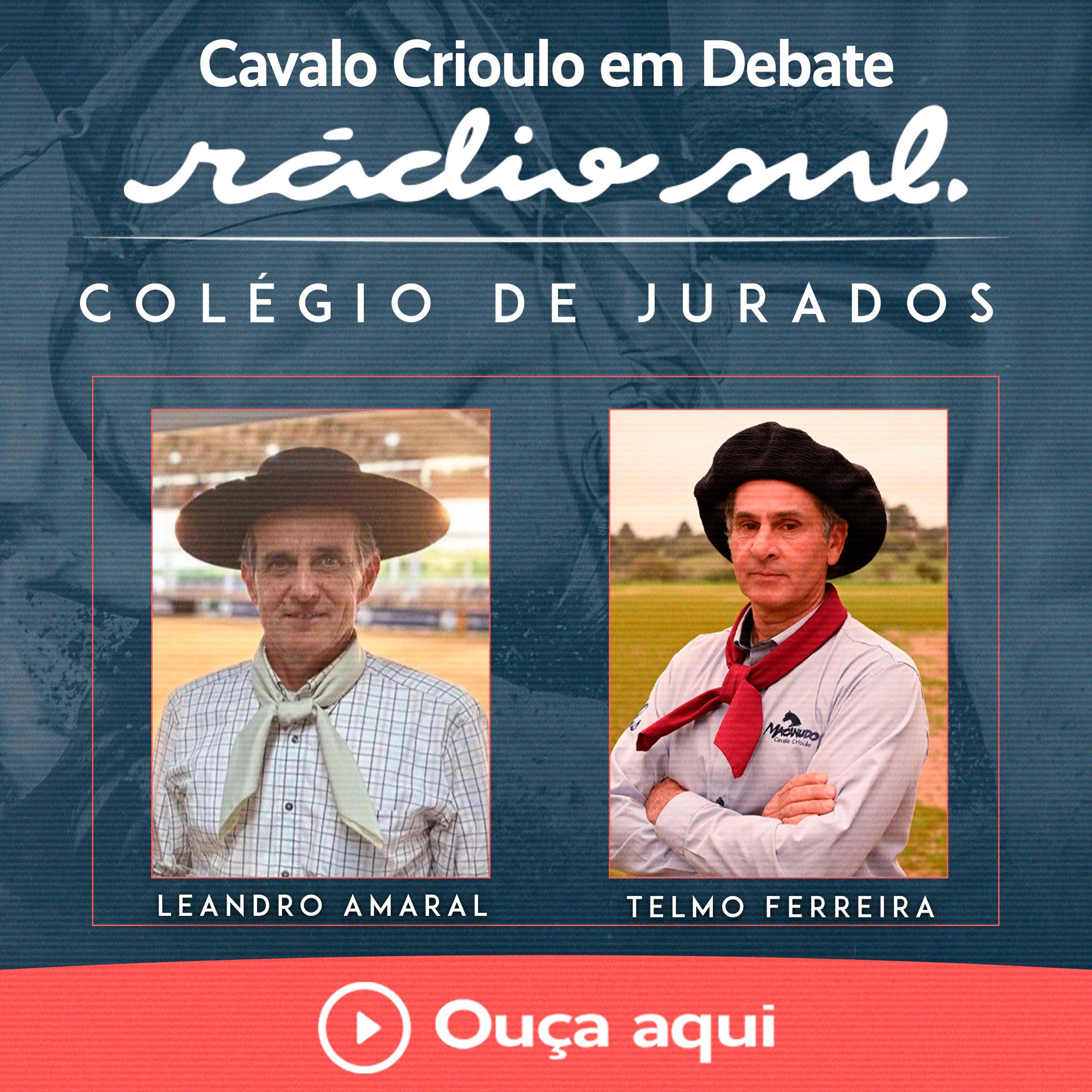 Radiosul.net