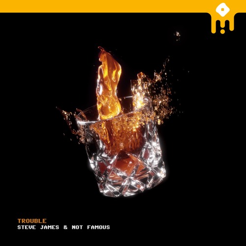 trouble - Steve James & Not Famous