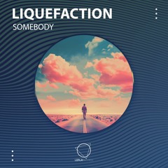 Liquefaction - Destroyed Feelings (LIZPLAY RECORDS)