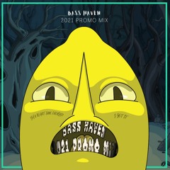 Bass Haven 2021 Promo Mix