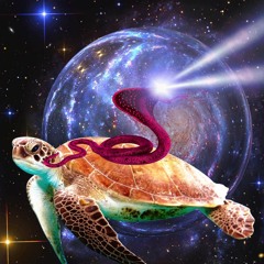 DEXD FXCE - Purple Turtle