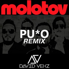 Molotov - Puto [David Vexz Remix]