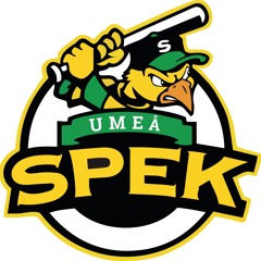 BK SPEK 2024