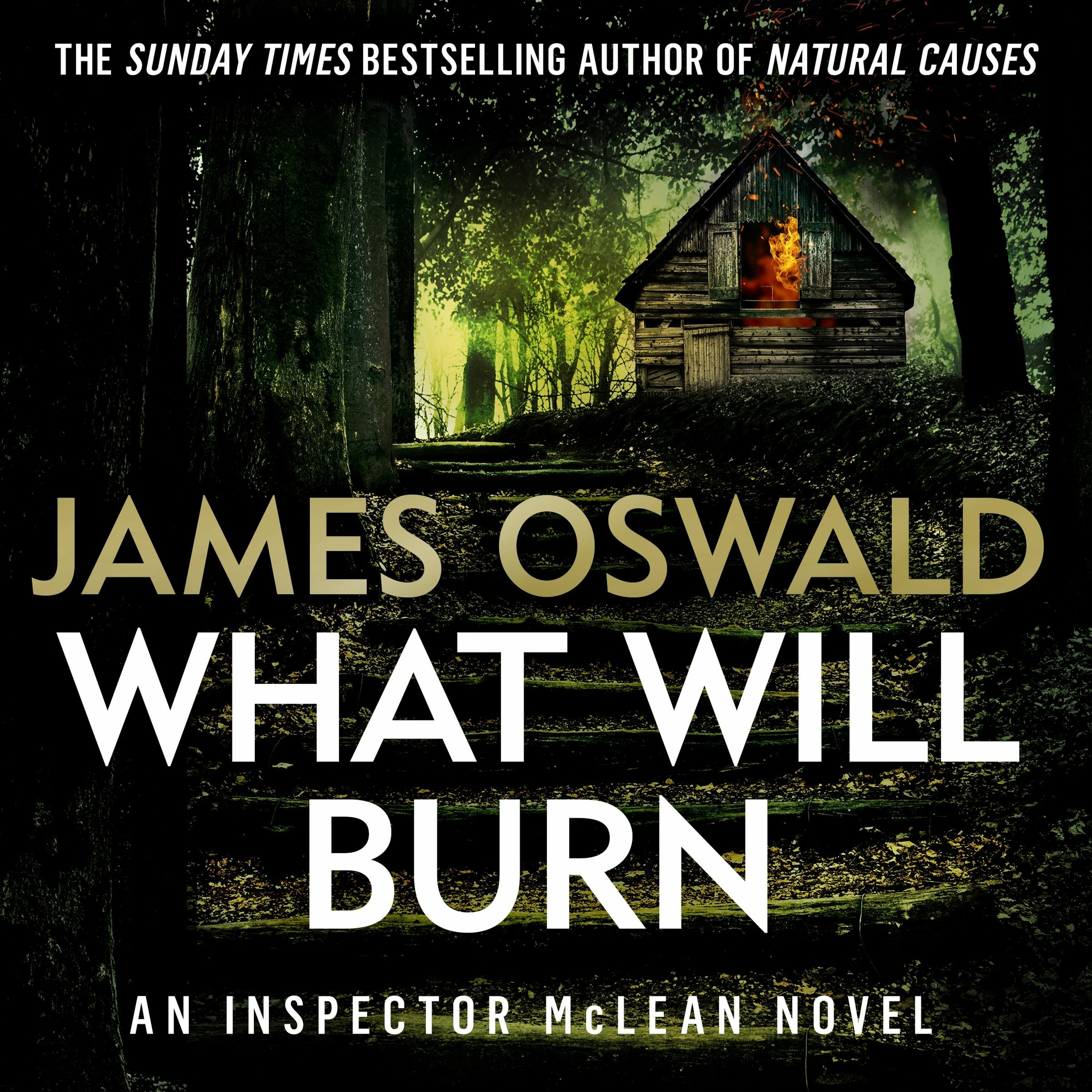 cover of episode WHAT WILL BURN by James Oswald, narrated by Ian Hanmore - Audiobook extract