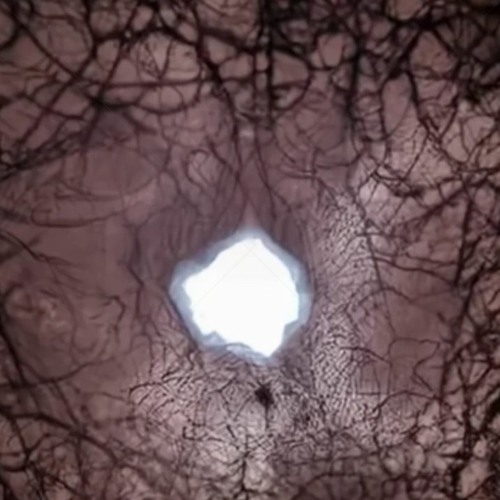 K3NFØLD FT CANTFOLD