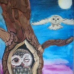 TRANSITION IN PROGRESS - home sitin by RonTon home