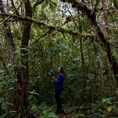 Listen Fauna / Conservamos por Naturaleza 1 / 051122 TunkiPampa