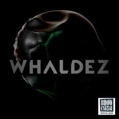Whaldez - Absztrakt Szerda/Búgócsiga Akusztik Garden 2020.10.28. 124bpm