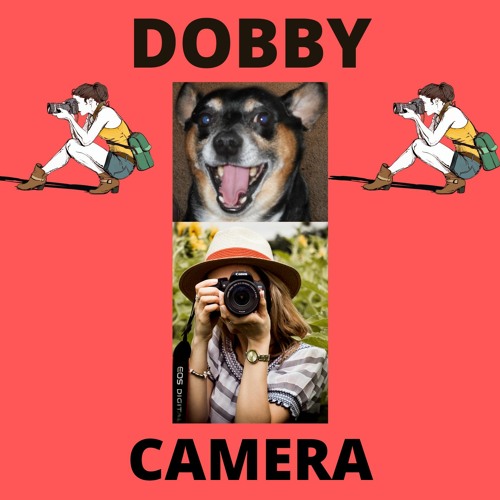 Stream Dobby - Camera by Andy Garrett - Guitarist | Listen online for free  on SoundCloud