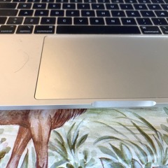 Tastaturet Er Så Kælent Beundrende