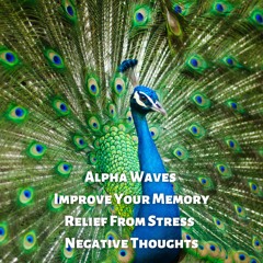 Alpha Waves | Improve Your Memory | Relief From Stress and Negative Thoughts