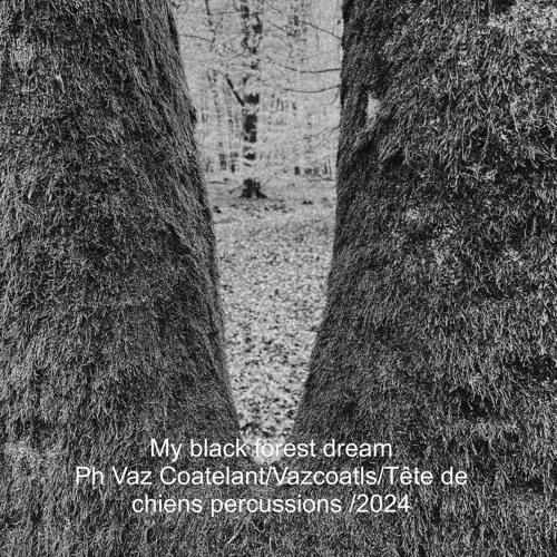 My black forest dream