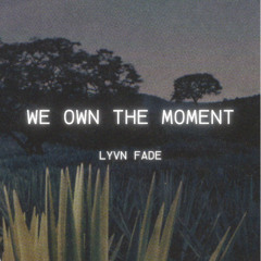 We Own the Moment – Lynn Fade | Melodic House & Progressive Techno