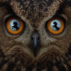 Beyonce x Crumb - Tyrant (ciph siah remix)