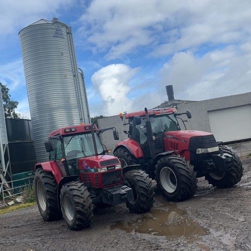 If I Die Young {Hardstyle}