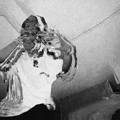 twin // legend vol 9 promo