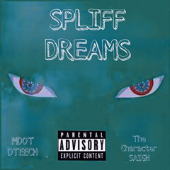 Spliff Dreams ft HLS Saigh (prod.cadence)