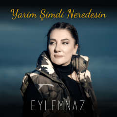 Yarim Şimdi Neredesin