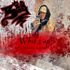 What's Up -Lyrikal AcE & JaayBee