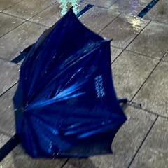 날 잃고싶지않아