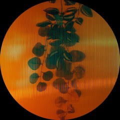 PREMIER'simir: Linus Duewer - Irgendwann (Original Mix) | [BANDCAMP ONLY!]