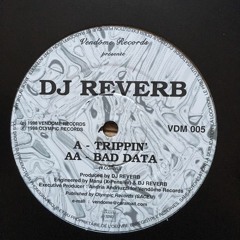 DJ Reverb - Trippin'