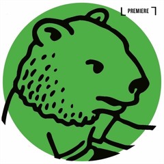 PREMIERE: Best Pest - Vim & Vigor (Transparent Sound Remix) (ORSON 021)