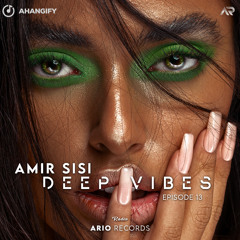 Deep Vibes EP13 "Amir SISI" Ario Session 088