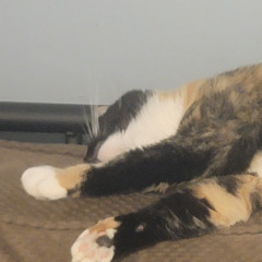 listless (2025 remaster)