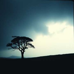 Unbreakable Silence (Spoken words)