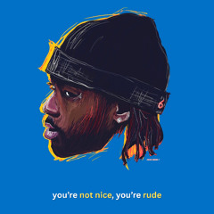 you're not nice, you're rude (Kora Waves Blend)
