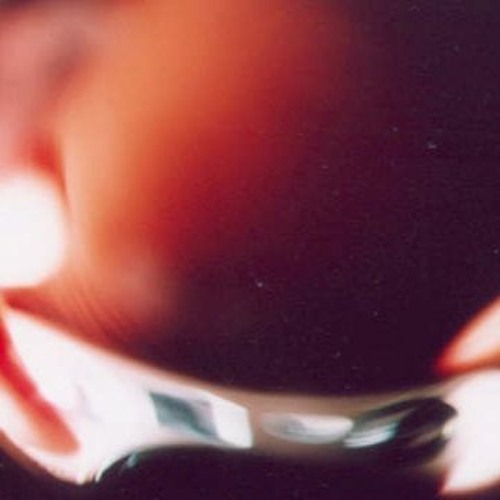 Mister Tibbs - The Next Shit (Side A) - April 2004