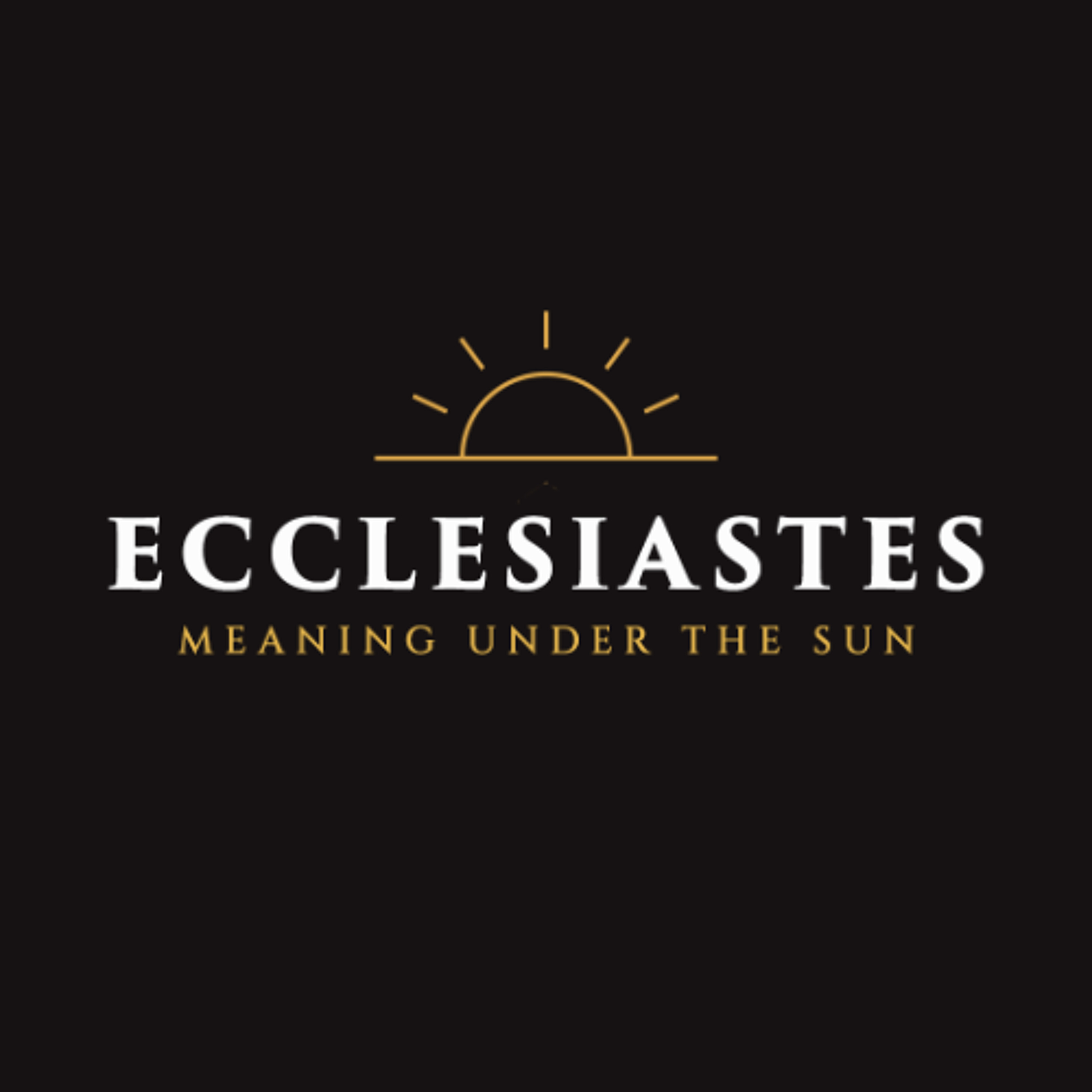 What Wisdom Can't Do  (Ecclesiastes 1:12-18) episode artwork