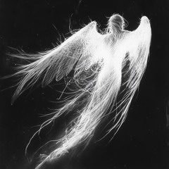 nashi - Slide Da Envolvente 2.0